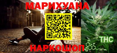 сатива Краснознаменск