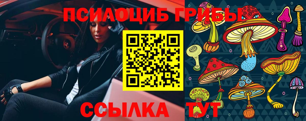 Галлюциногенные грибы Psilocybe Вятские Поляны